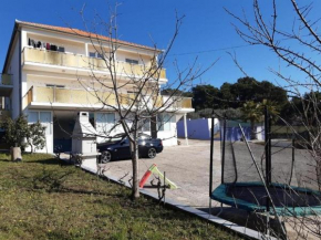 Family friendly apartments with a swimming pool Bibinje, Zadar - 19774